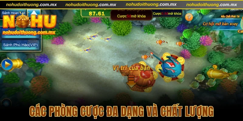 Các phòng cược đa dạng và chất lượng